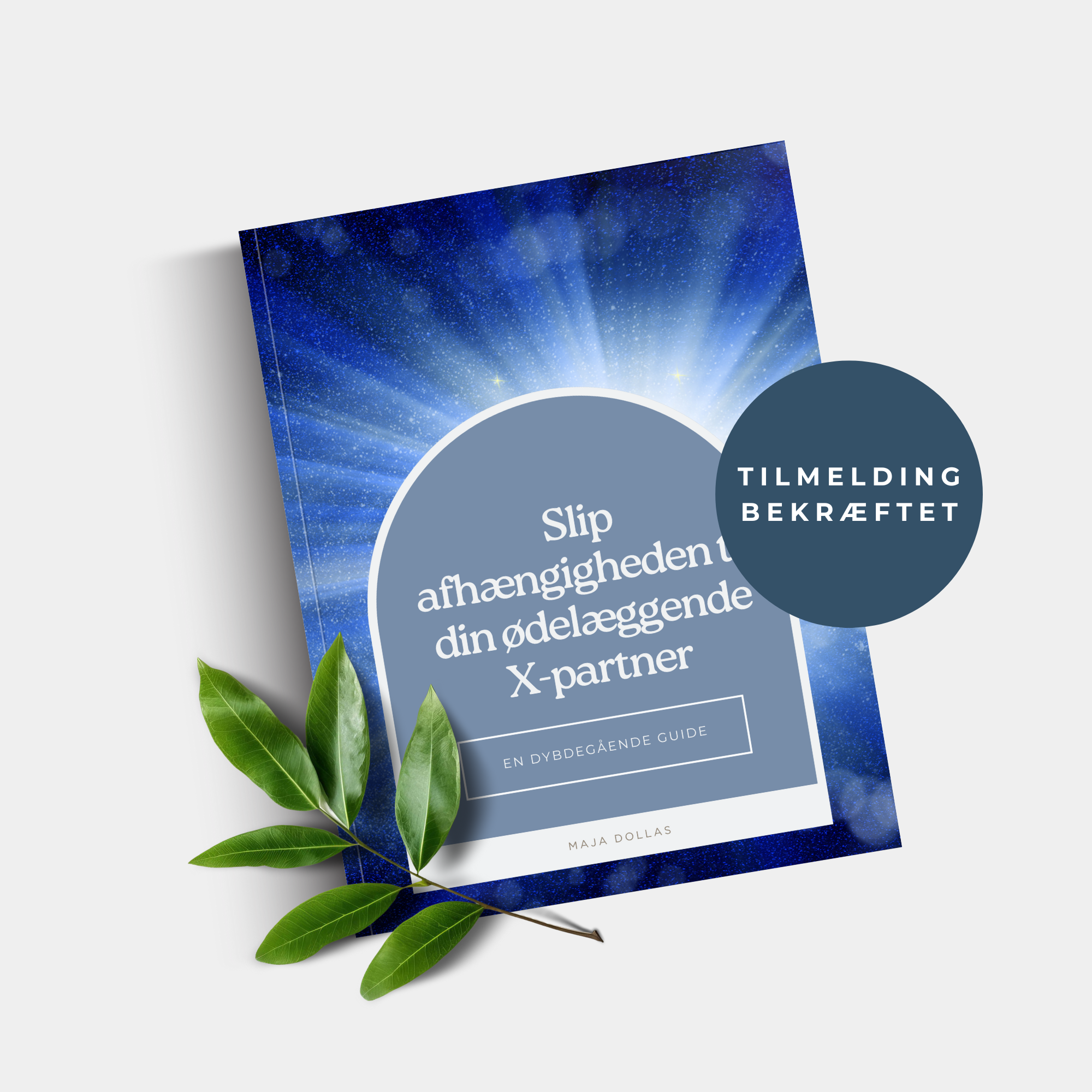 Slip afhaengigheden 1