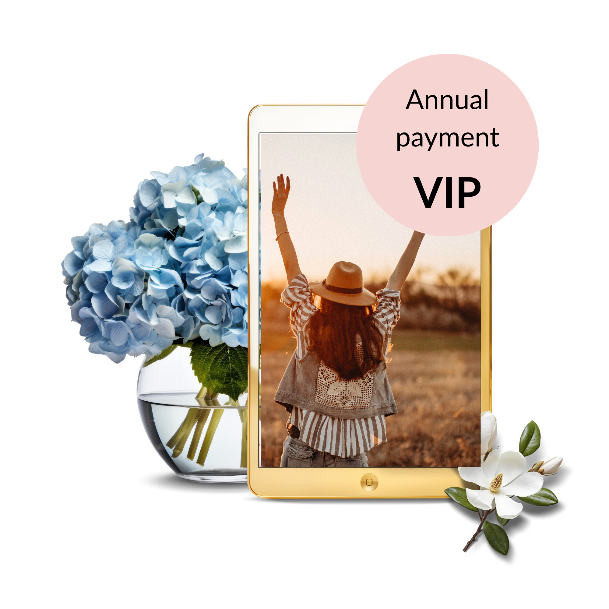 Annual Payment - VIP